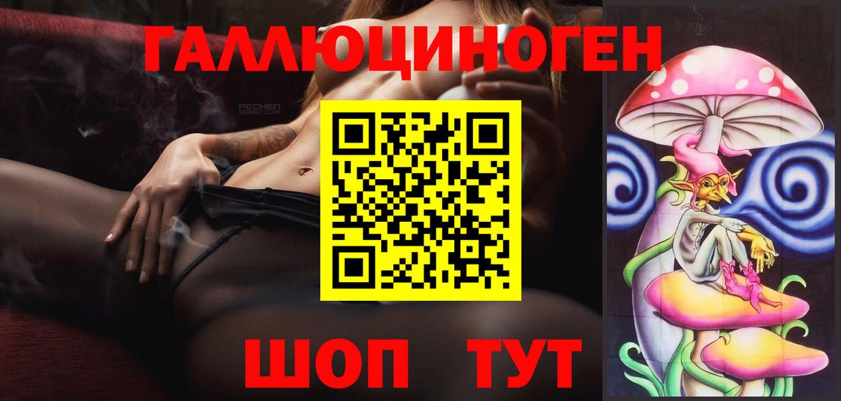 Галлюциногенные грибы Psilocybe Шатура